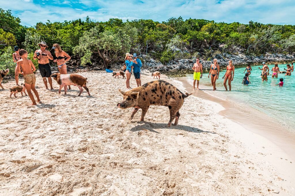 Big,Major,Cay,(exuma),,Bahamas,,08.23.2019:,Tourist,Tour,To,The